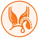 Anal Fistula Surgery